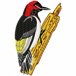 Small Birds Embroidery Design 10